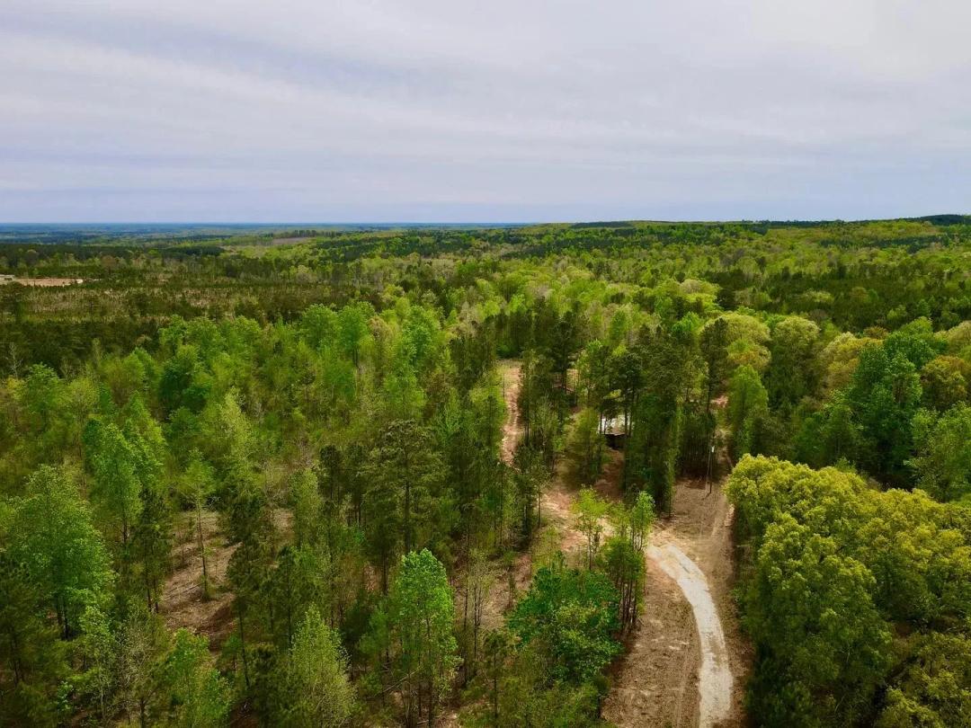 Big Springs Farm | 241+/- Acres in Randolph County