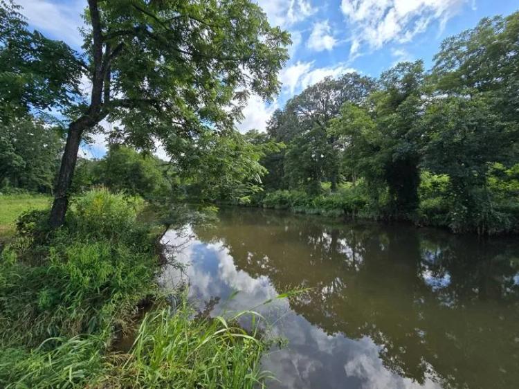 Sugarloaf Mountain Homestead Property - For Sale