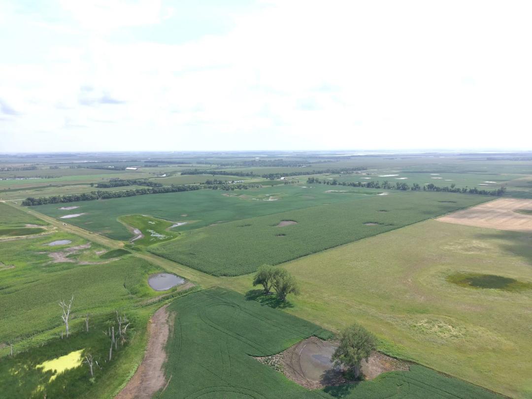 137.32± Acres | Greenfield Township | Brown County, South Dakota