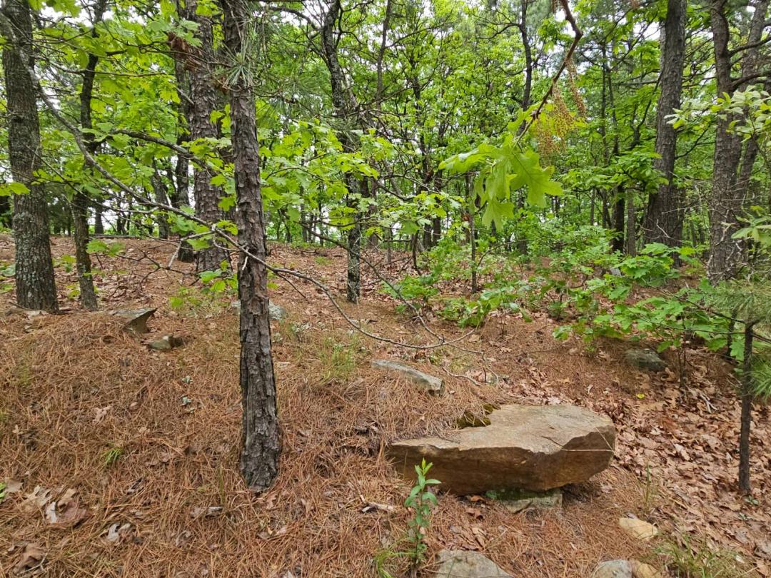 W. Middle Mountain Rd. Buffalo Mountain