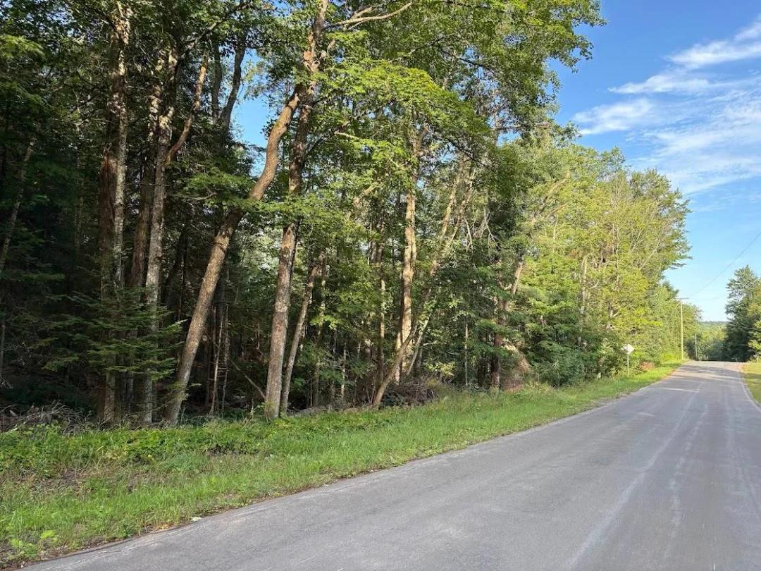 Beautiful 3 Wooded Acres in the Town of Ohio!