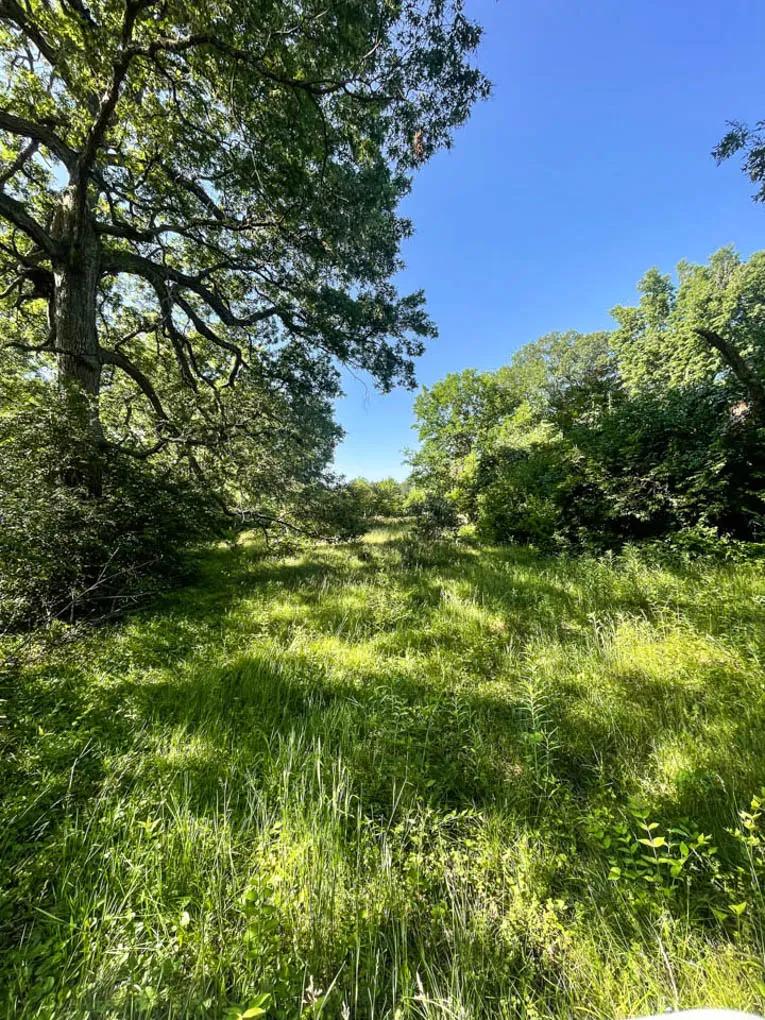 Champaign County, Illinois 19 Acres For Sale(PRICE REDUCED)