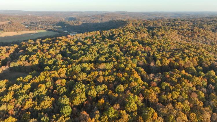 Johnson Ridge Lot 2