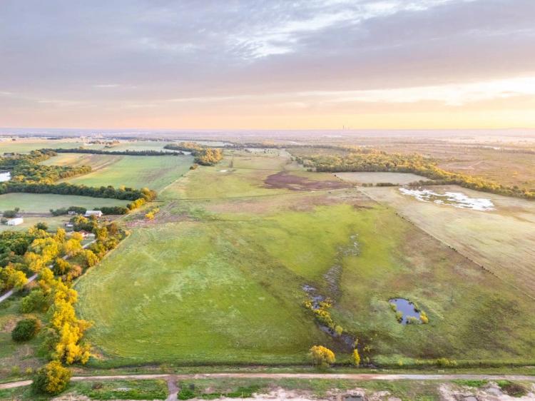 Newcastle Agricultural Opportunity