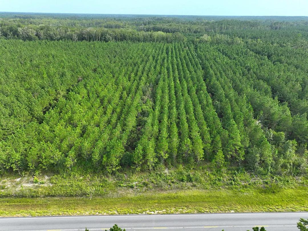 8.36 +/- Ac GA Hwy 252 White Oak, GA 31568 