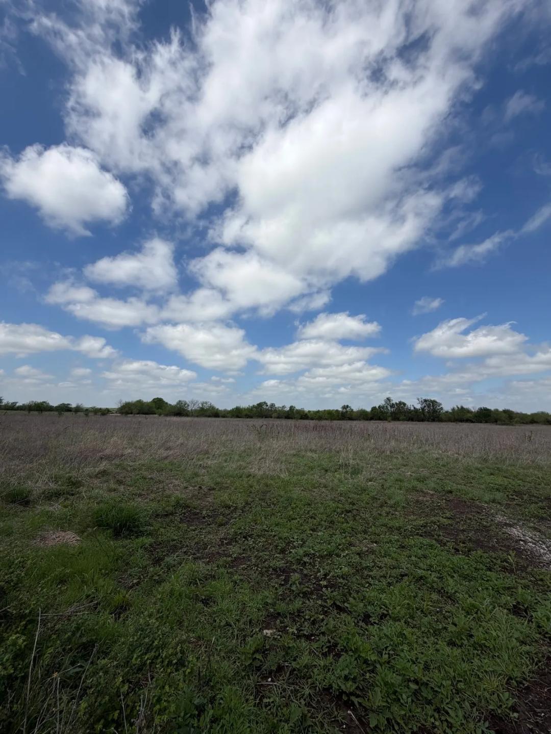 19.31 Acres at 00000 11000 Rd