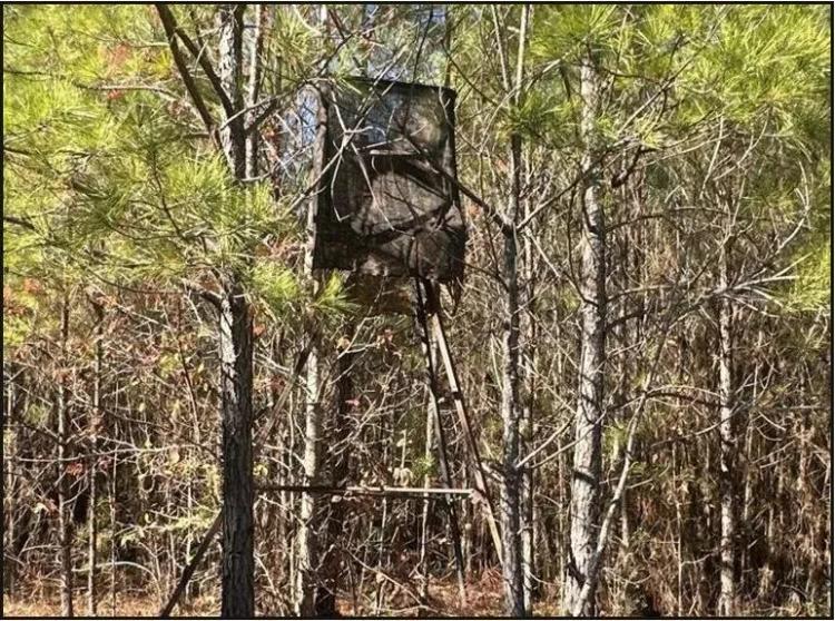 80 Acres in Newton County in Hickory, MS 