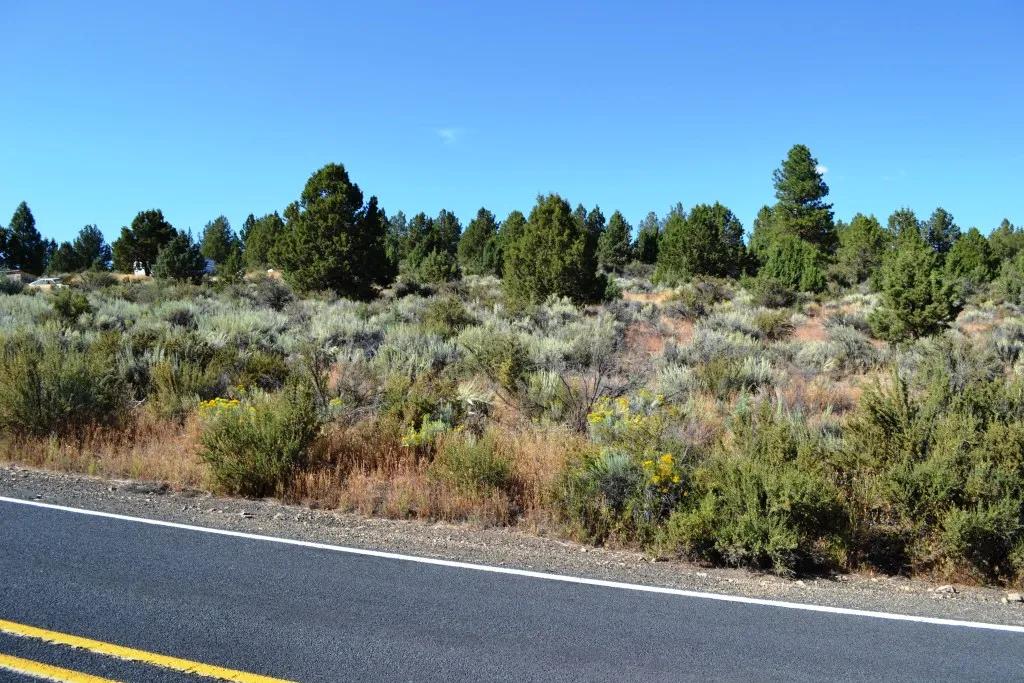 Paved road. Power! East of the Town of Sprague River. Site builds, mobiles, modulars allowed