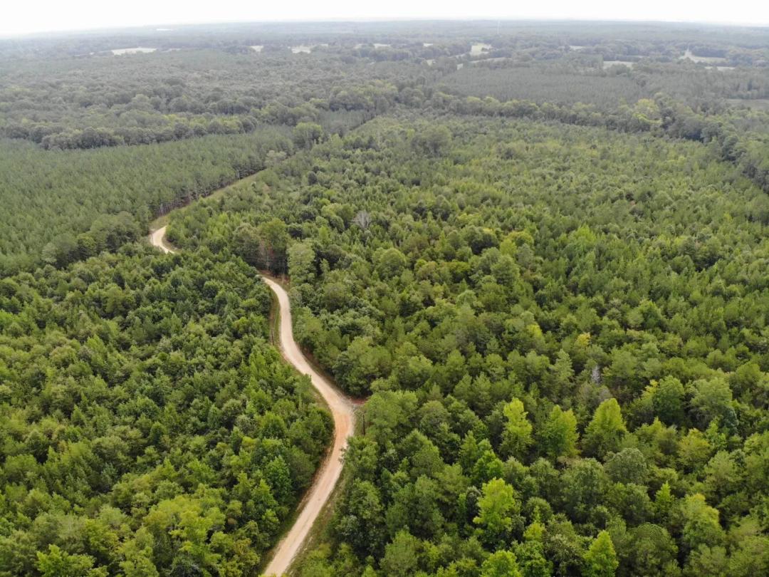 22.27 Acres at 0 Chenault Drive, Tract C