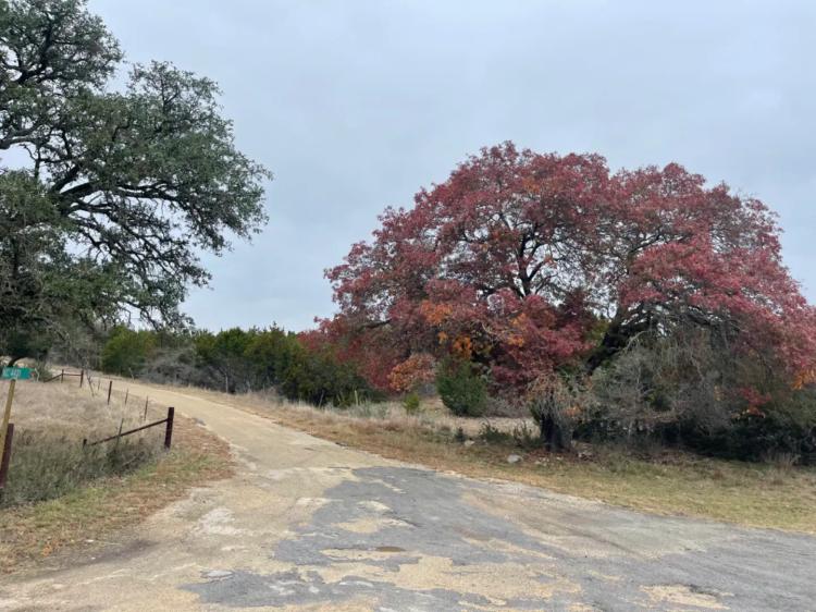 10.41 Acre w/Electricitys - Hill Country Property - 5% Down Owner Financing - West of Fredricksburg