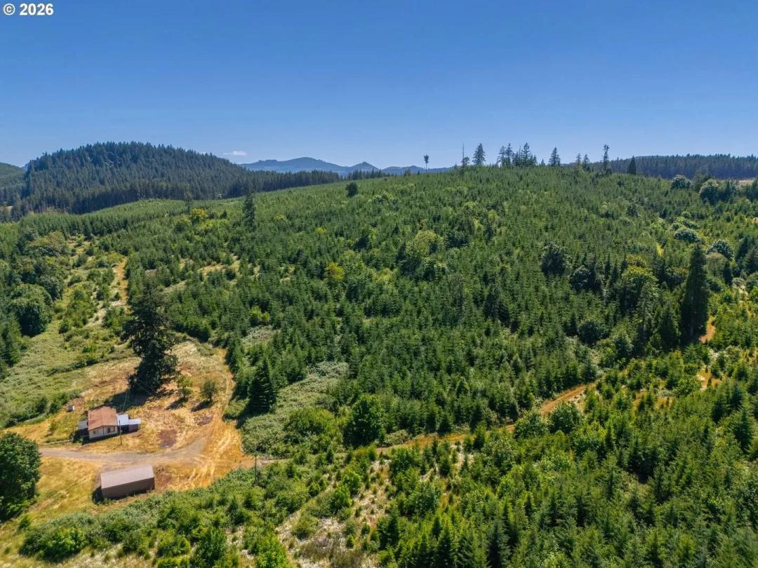 79.46 Acres of Land for Sale in Lebanon, OR