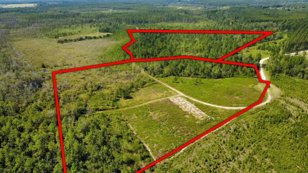 42.68 Acres - Millwood Plantation - Ware County, GA