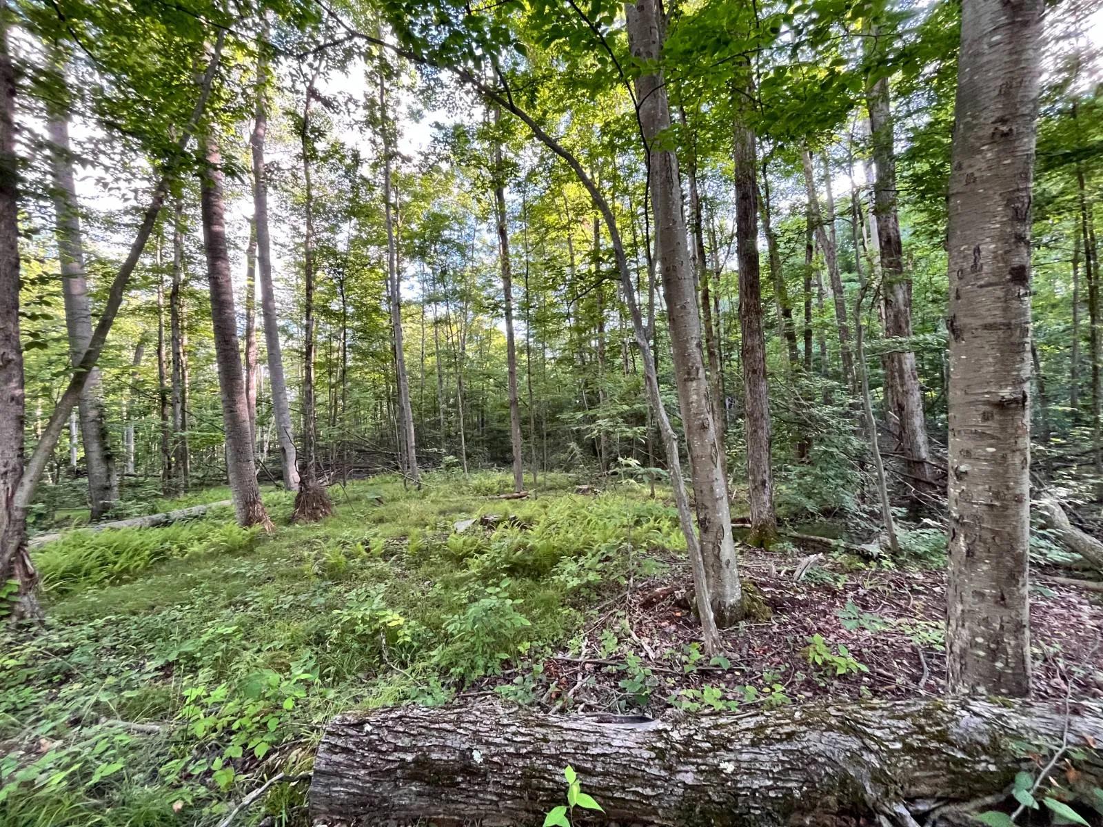 9343833-7