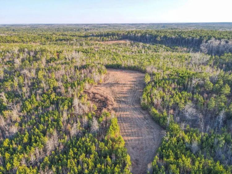 72 +/- Acres Chambers Co - Hunting, Homestead, Investment