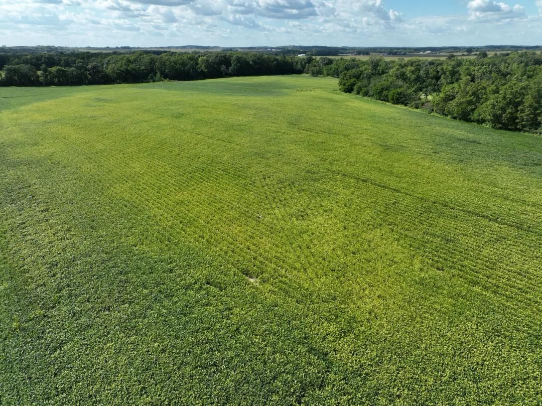 Listing #18611 - 101.86 acres in Buchanan County, IA