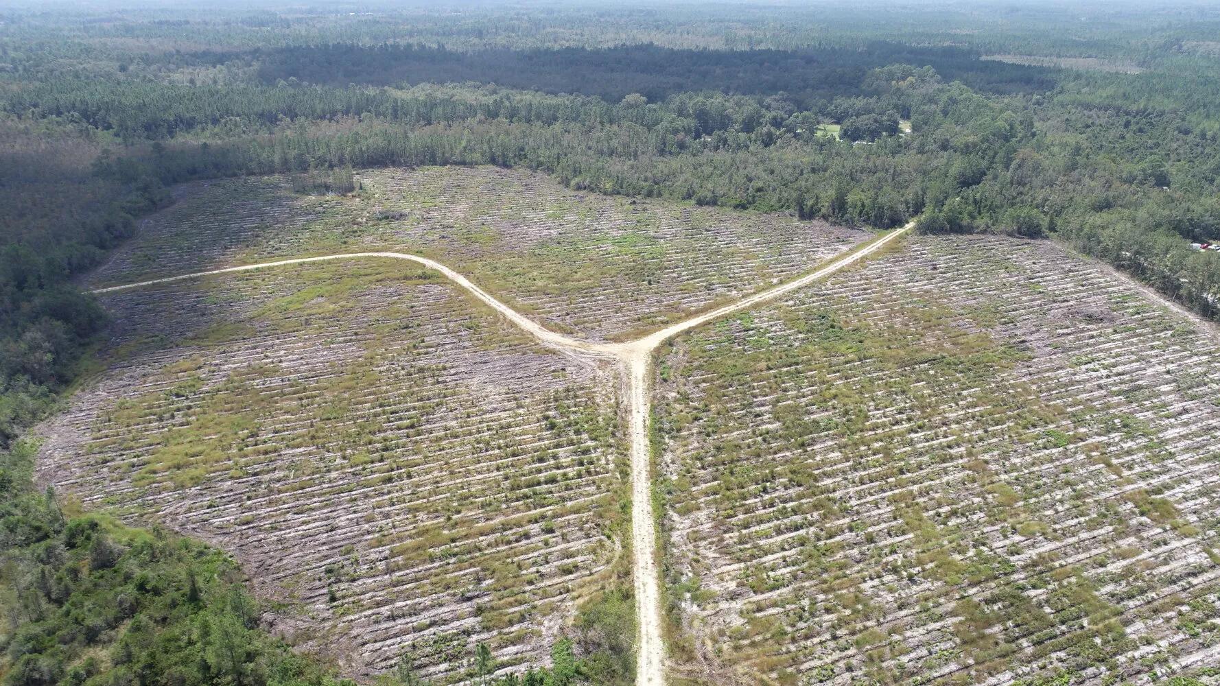 93515728-16