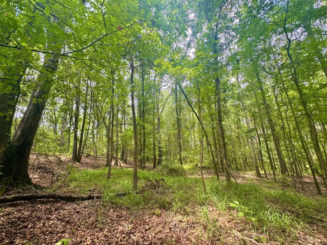 The Perfect Hunting & Recreational Retreat!