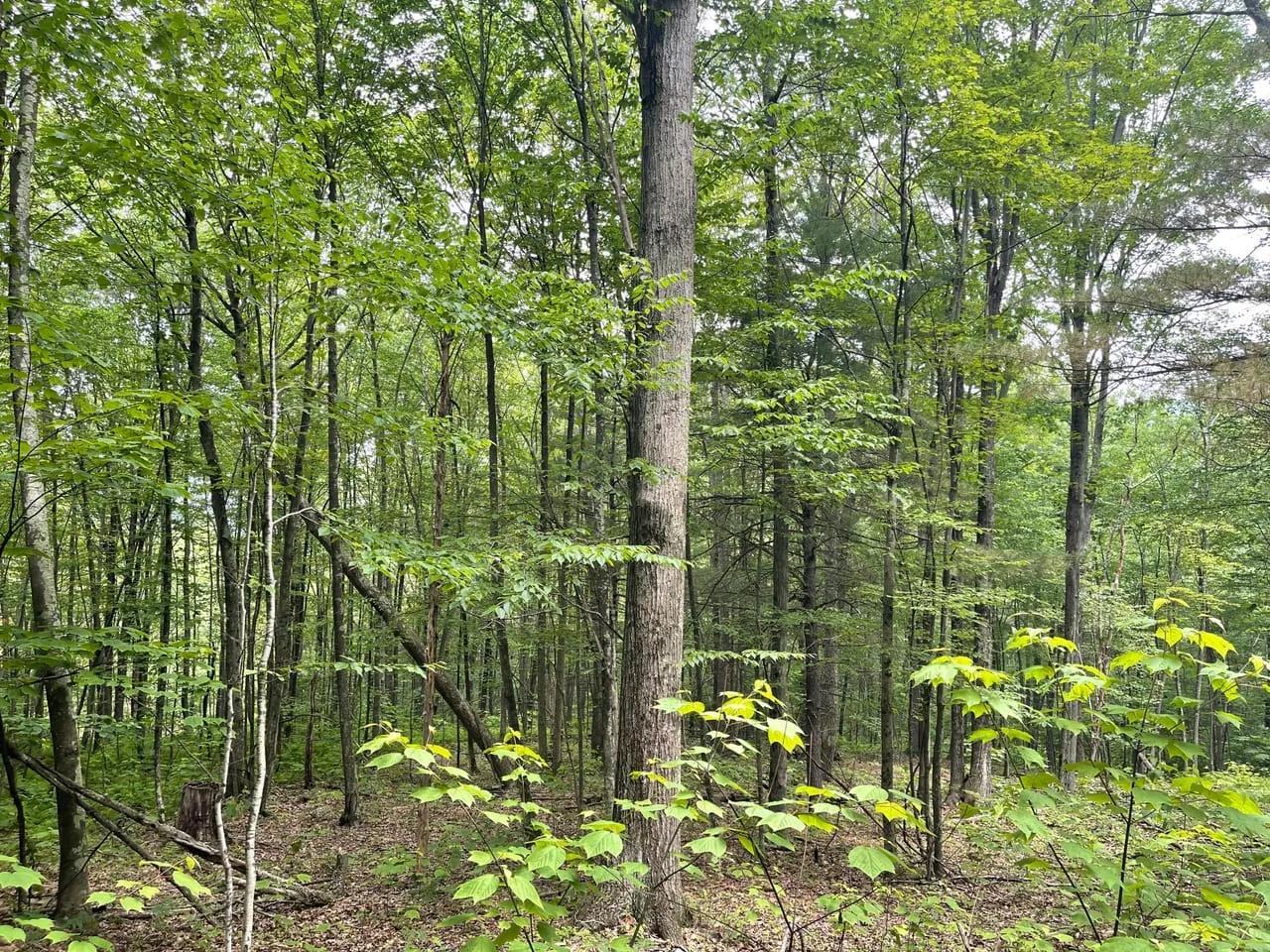 93550309-42