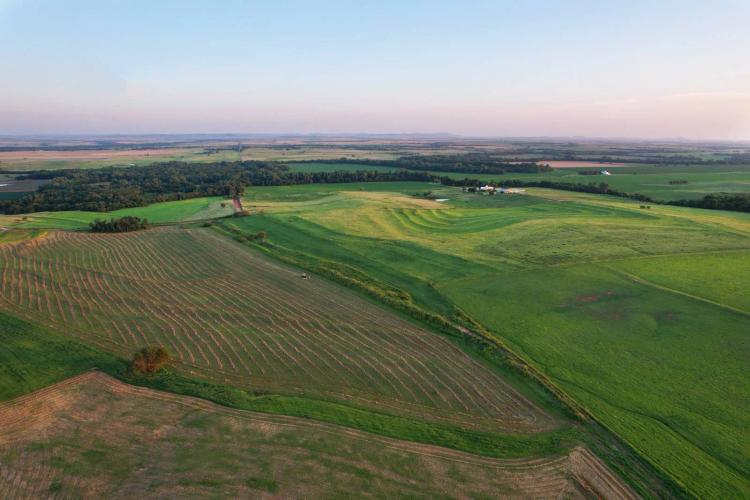 Cottonwood Creek Farm