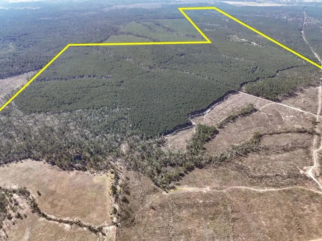 563 Acres | Off FM 247