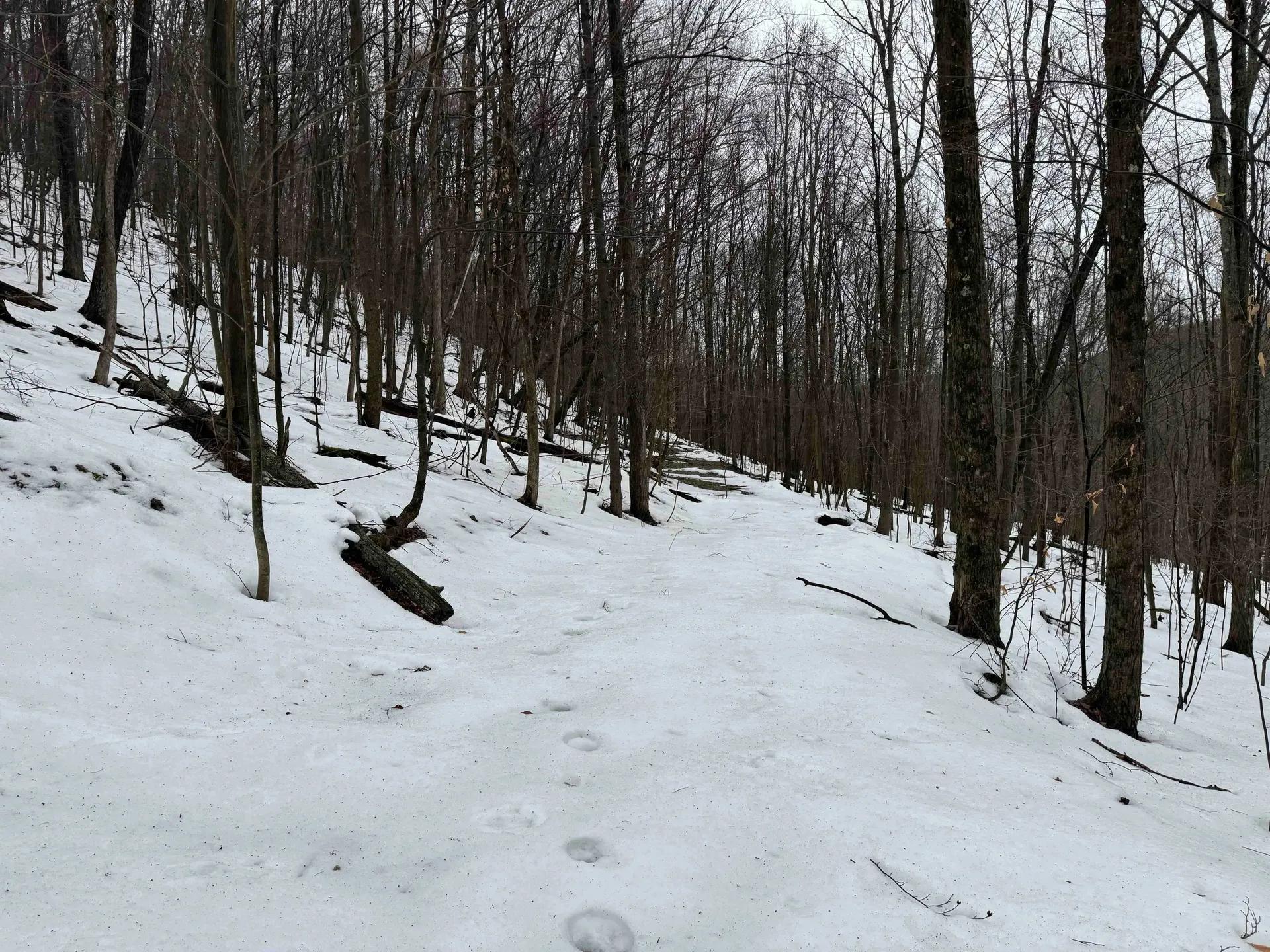 9358477-16