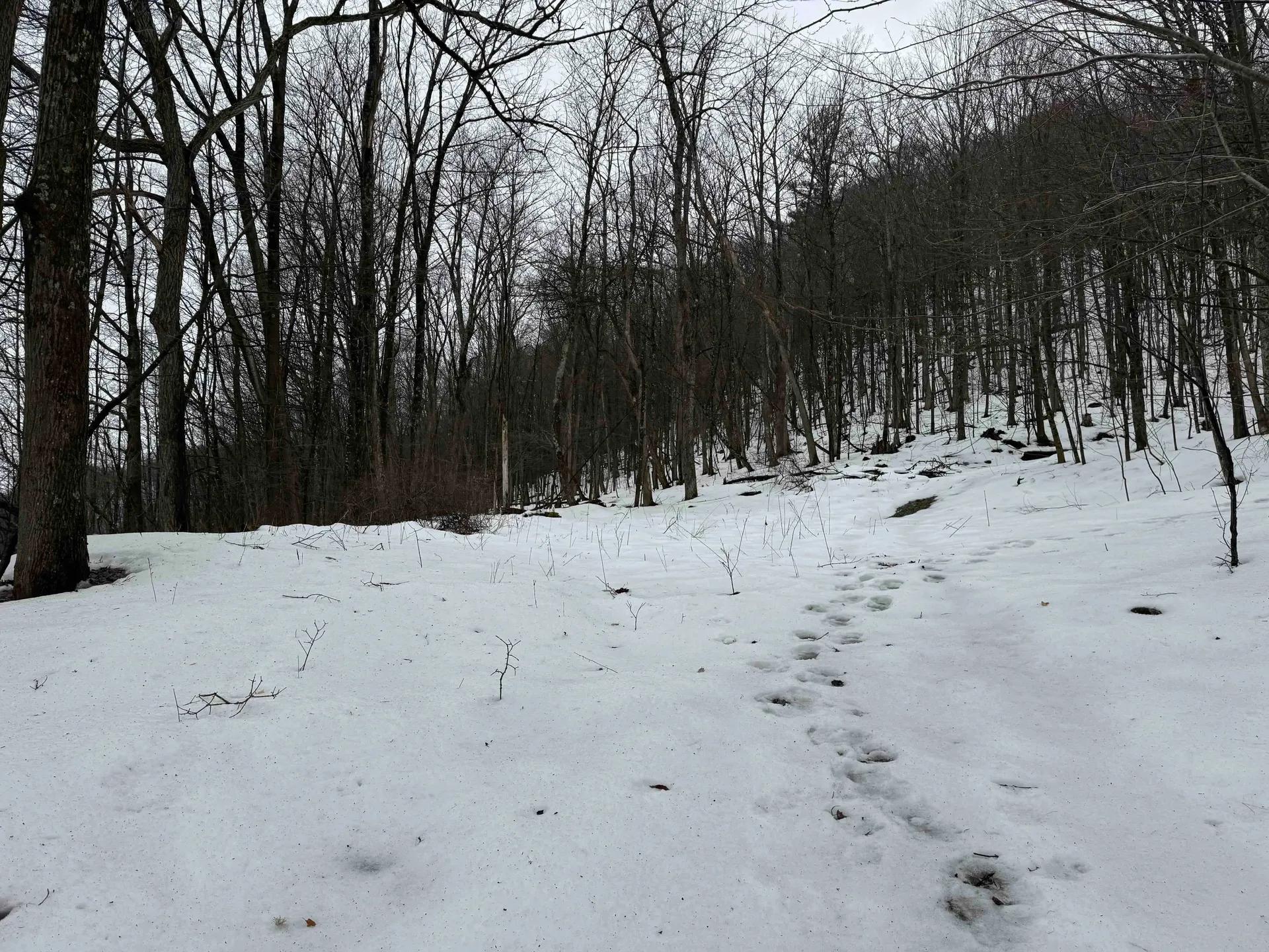 9358477-4