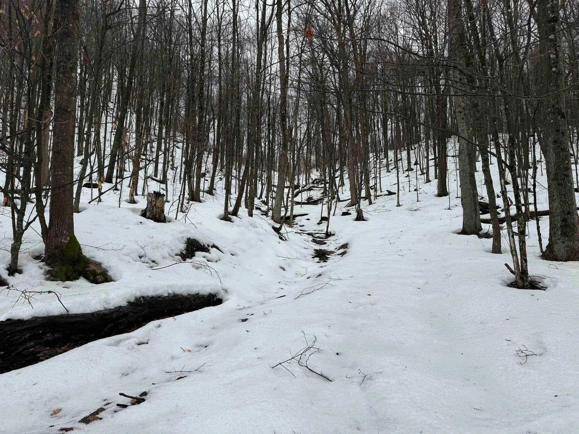 9358477-7