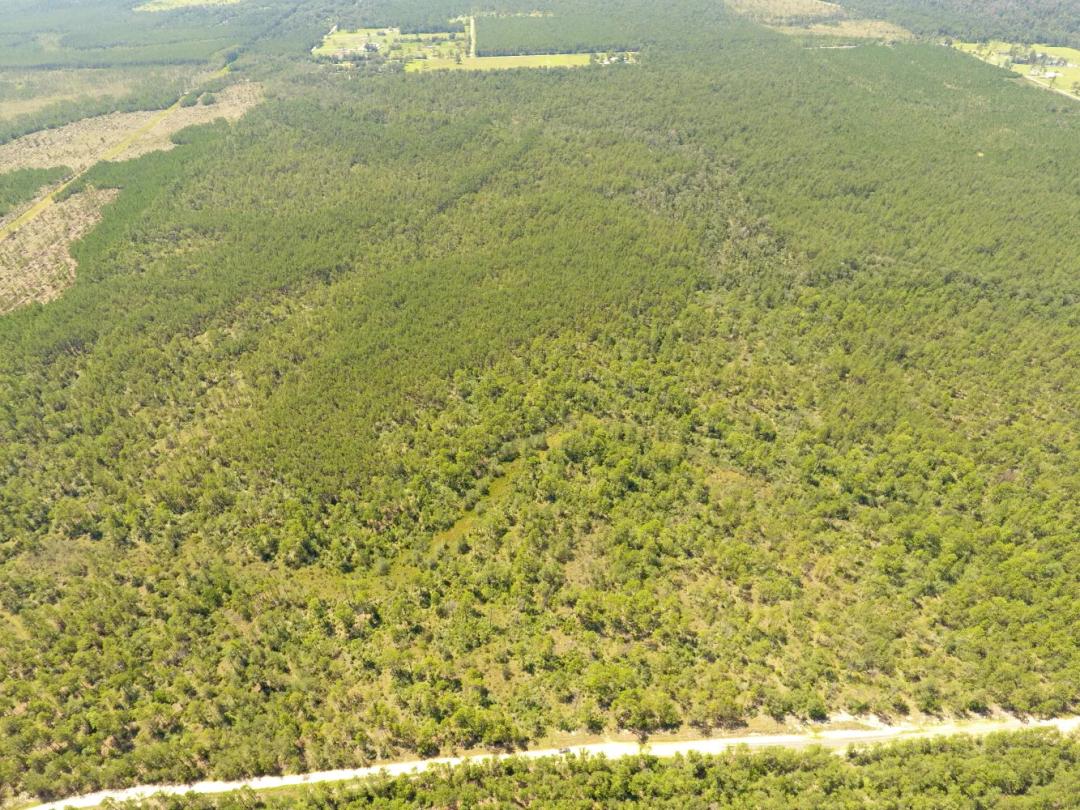 240.00 Acres at 0 Frank Trahan Road