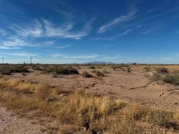 6 IMG_7976