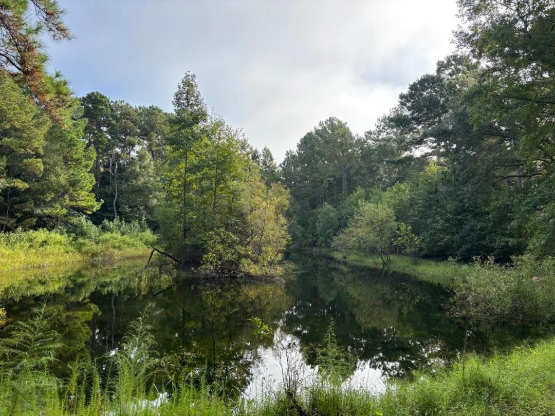 1.31 Acres at 0 Providence Cir