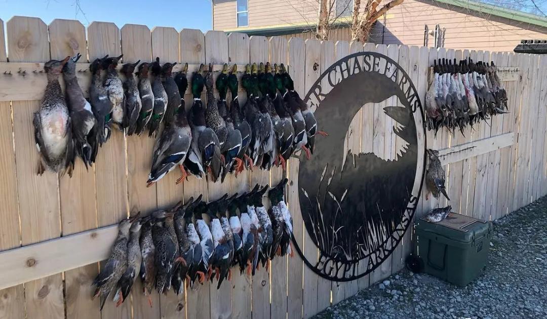 River Chase Farms (EQUITY SHARE)