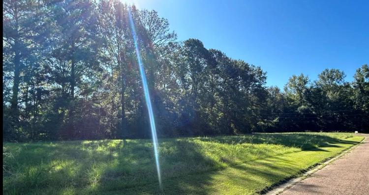 0.57 Acre Lot in Covington County in Collins, MS