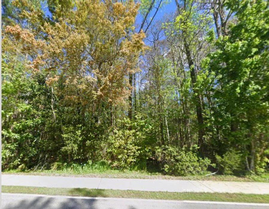 Almost 3 Acres in Mandarin! No HOA - Jacksonville, Florida