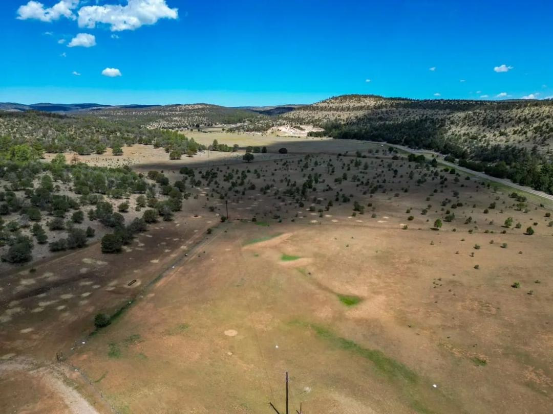 Weed Mountain Ranch