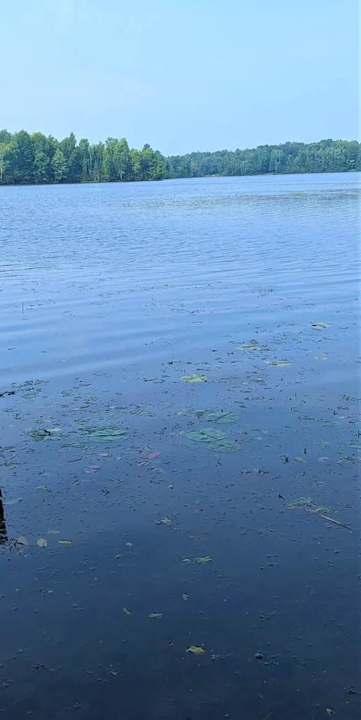 Price County, Wisconsin 3 Acres of Land For Sale(PRICE REDUCED)