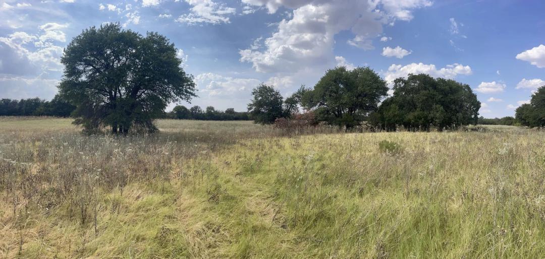 4.30 Acres, TBD Blue Lacy Lane, Anson (Lot 8)
