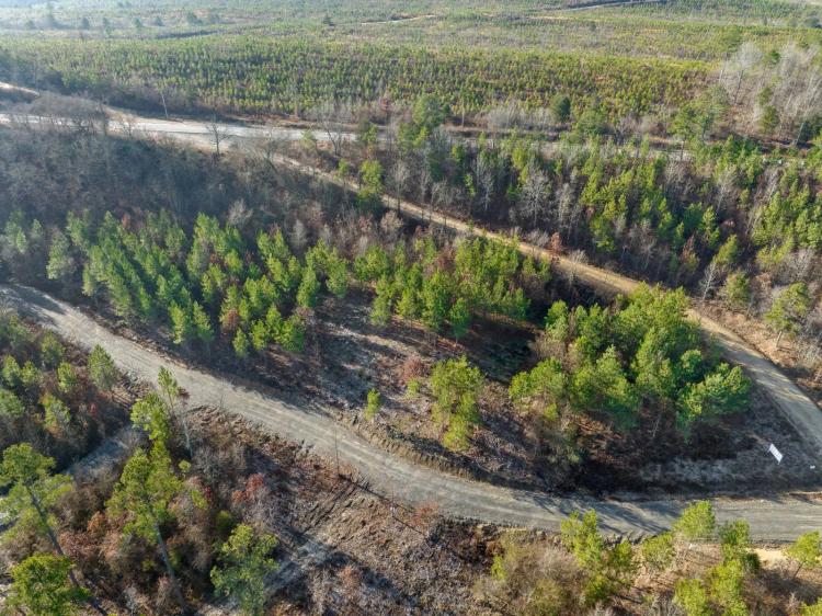 2.30 Acres at 21 Painted Bunting Trail
