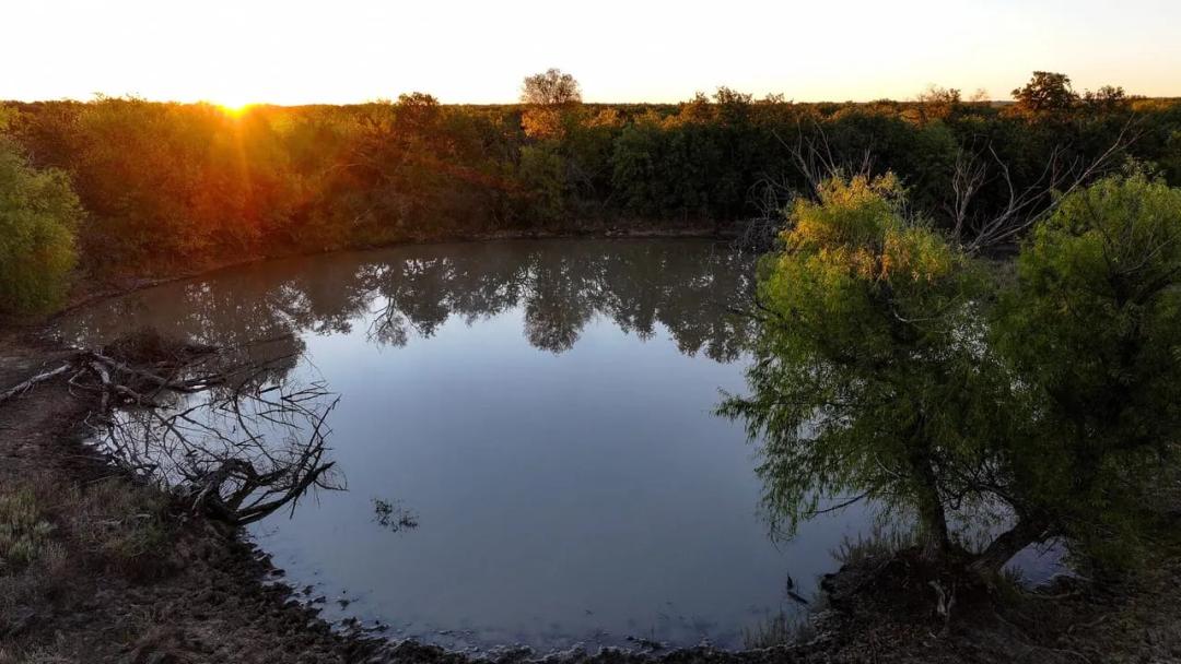 Brushy Oaks Ranch