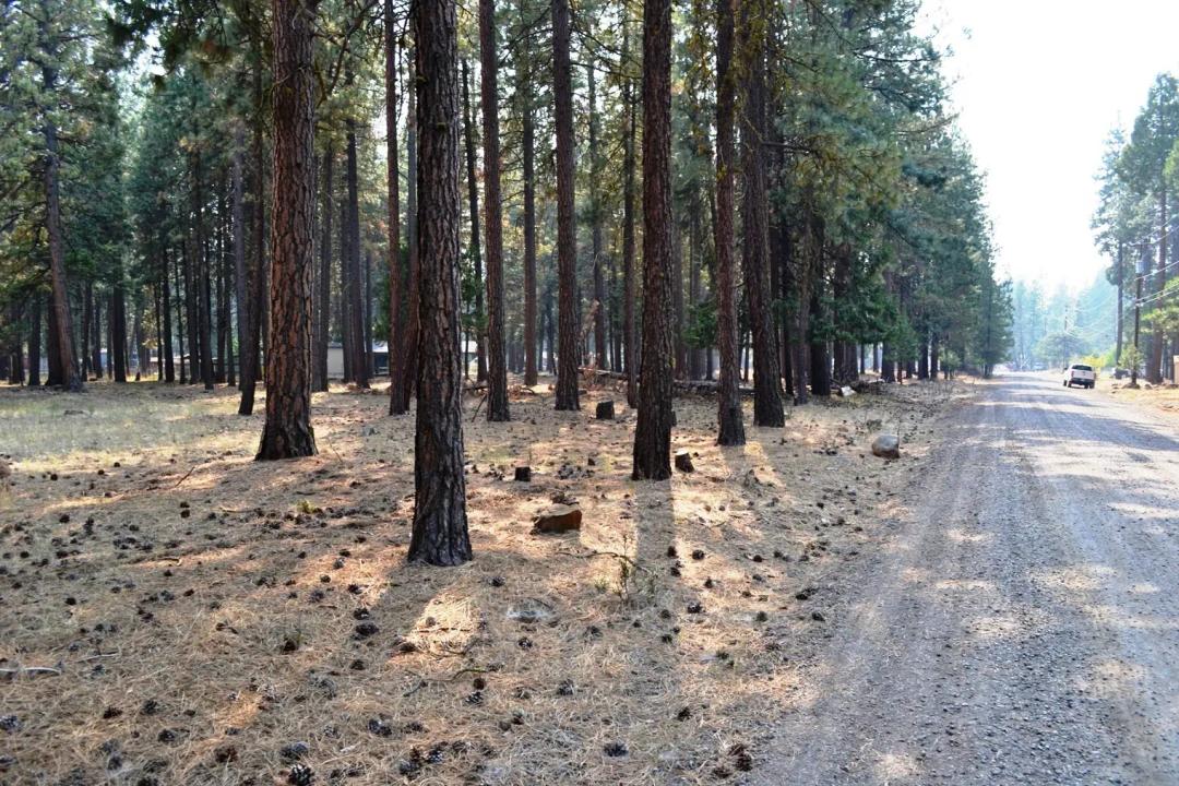 Keno Oregon Heavily Wooded Building Lot - Over One Acre - Power