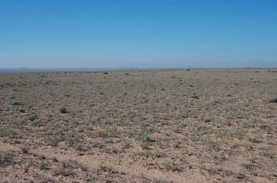 Painted Desert  Petrified Forest  Sun valley No restrictions * Camp RV Build