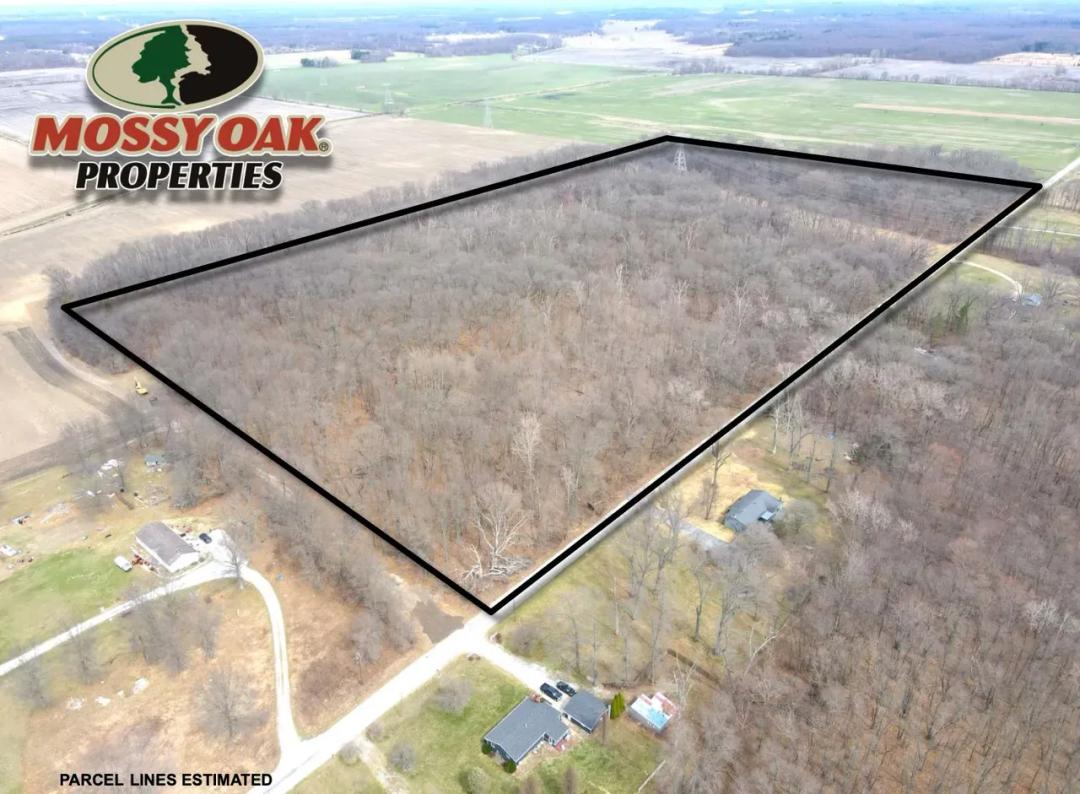 50 +/- ACRES - 400 S - STARKE COUNTY - LAND FOR SALE 