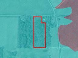 93775646-20