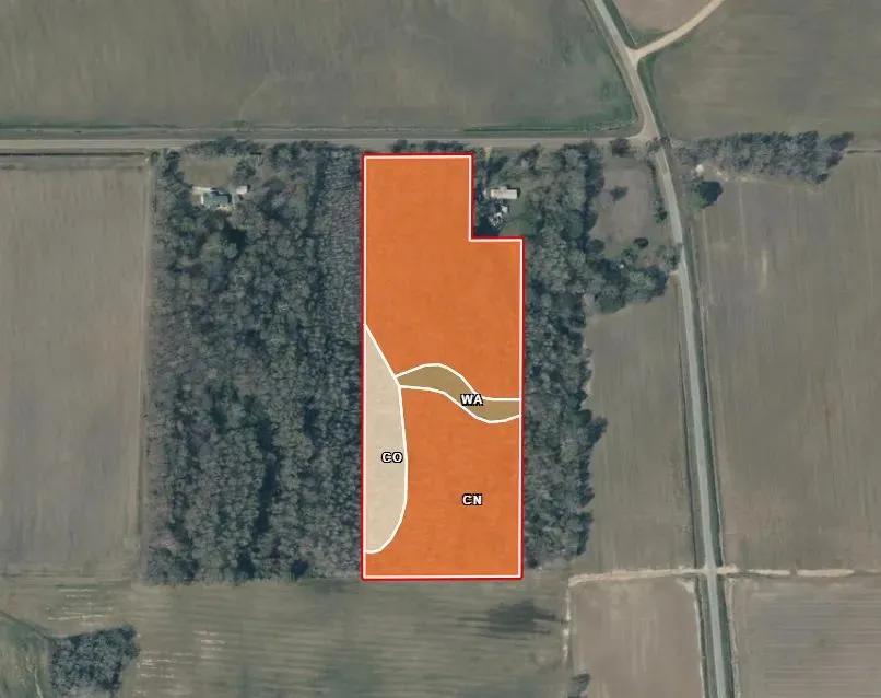 93775646-22