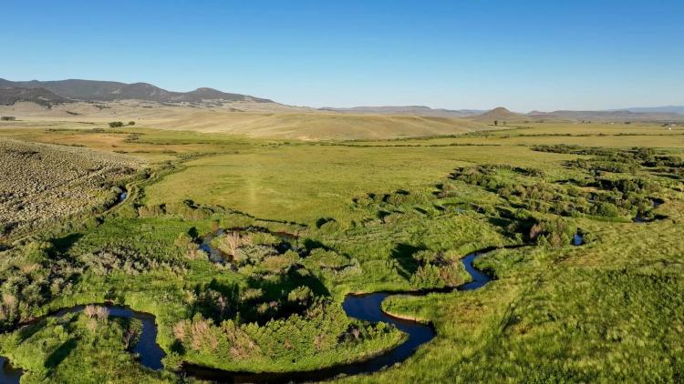 Needle Creek Ranch 