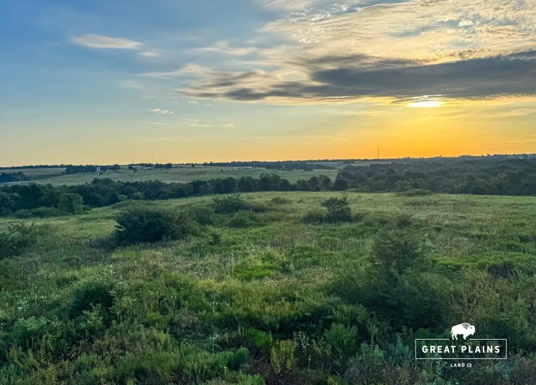 Logan County 80 Acres with Pasture, Timber, & Hunting Setup