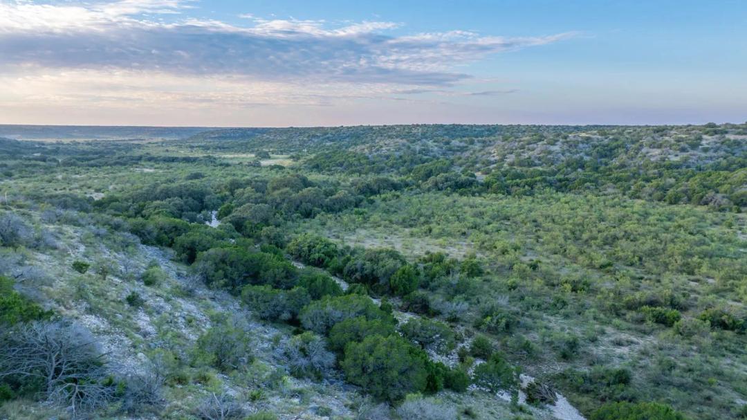Lower Ranch