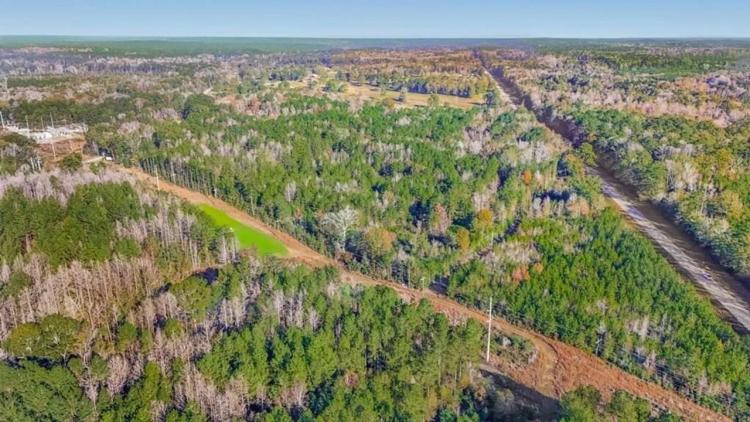 Gloster 110 - Hunting Land in Amite County, MS