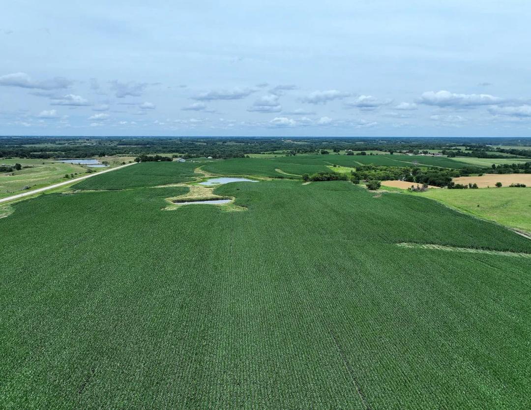 Listing #19573 - 192.00 acres in Wayne County, IA