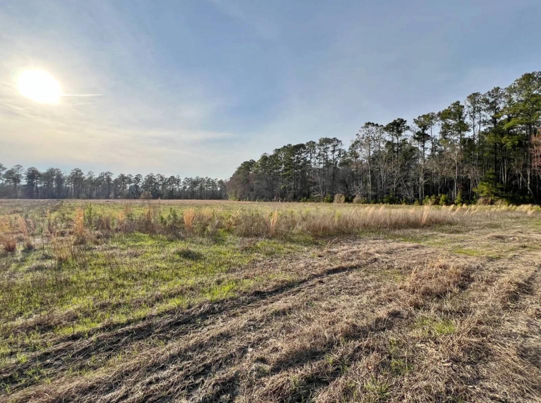 9.75 +/- acres of open land with pond in Cummings, SC