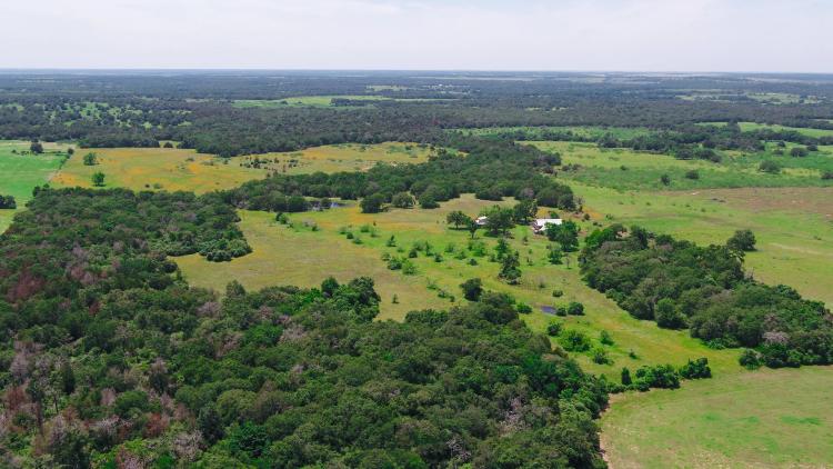 126 Acres in Lee County